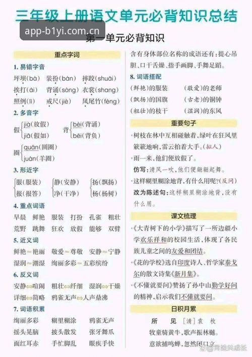 必一b下载地址 掌握必一体育平台实用技巧,高效获取必一b下载地址的必备知识